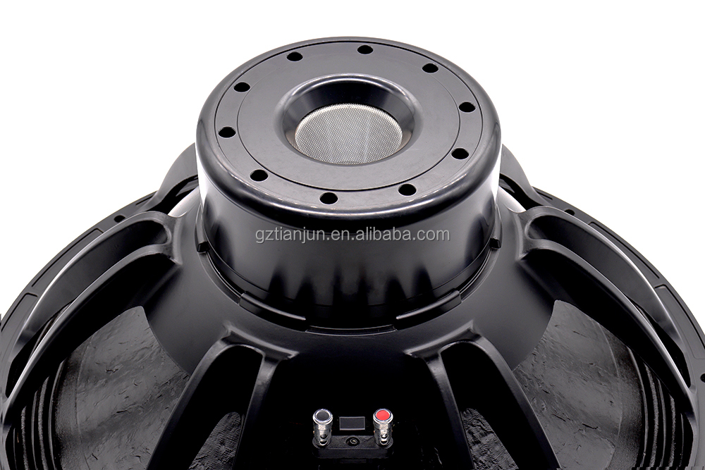 21'' Professioneel Audiosystee - Speakers recensie en prijs