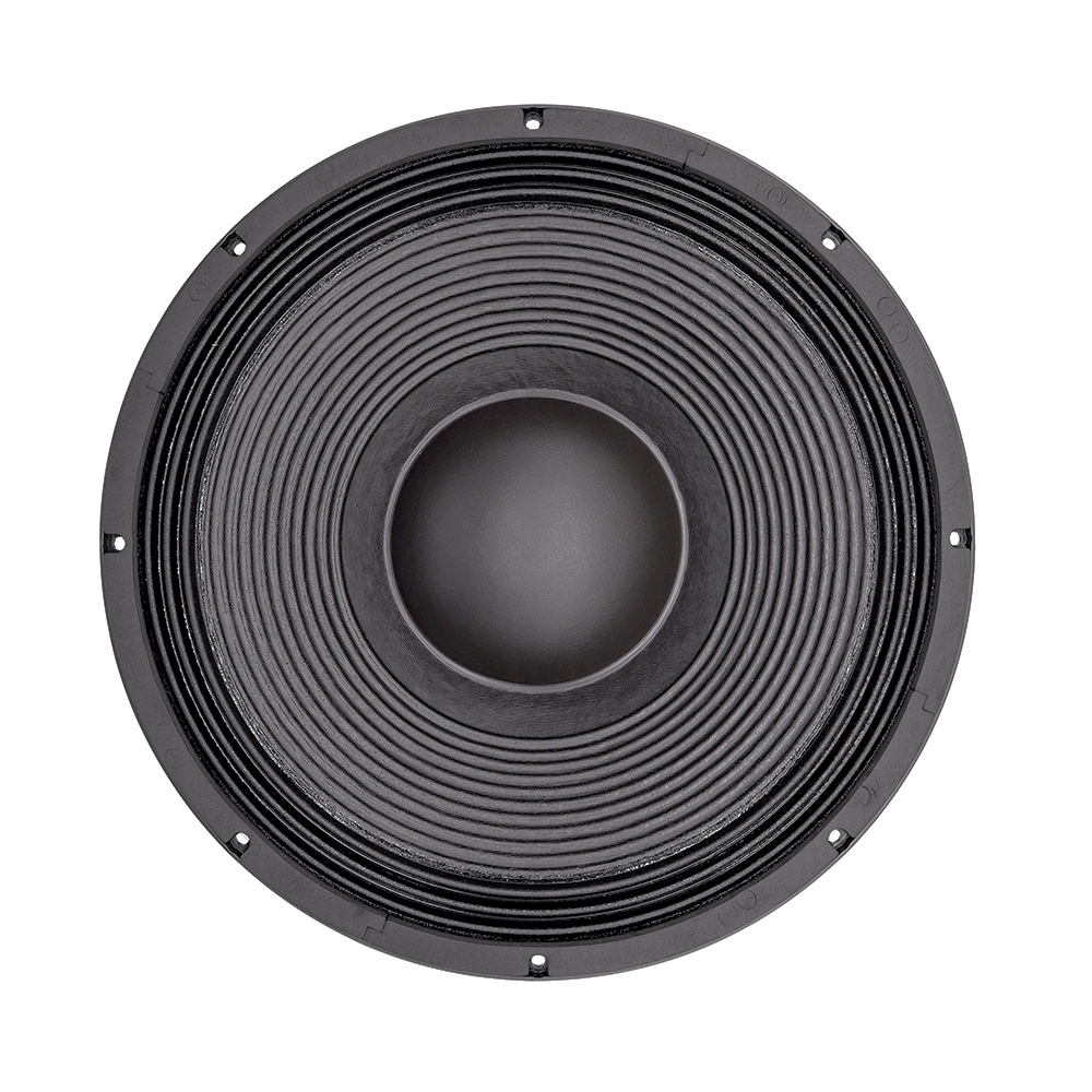 21'' Professioneel Audiosystee - Speakers recensie en prijs