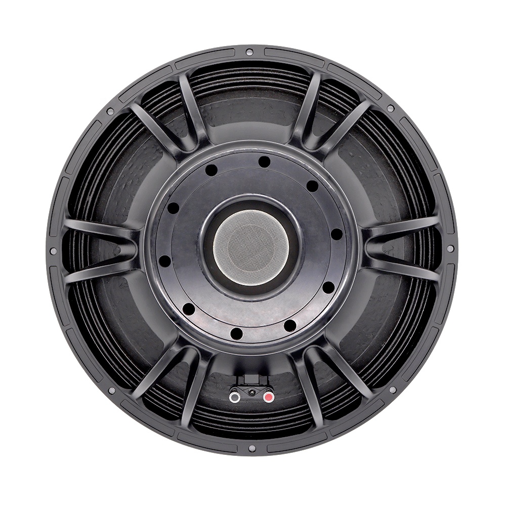 21'' Professioneel Audiosystee - Speakers recensie en prijs